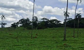 Imagem 3: Fazenda com 28 alqueires em Ouro Verde-GO, terra de cultura, boa de água!!