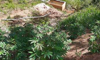 Imagem 6: Pequeno sítio em Olaria MG