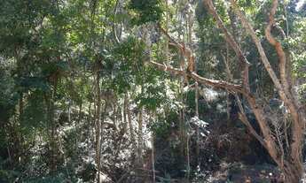 Imagem 2: Pequeno sítio em Olaria MG