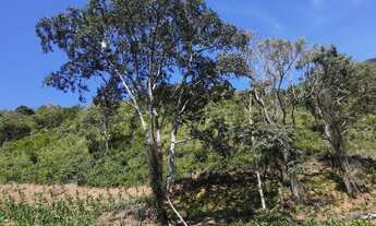 Imagem 5: Pequeno sítio em Olaria MG