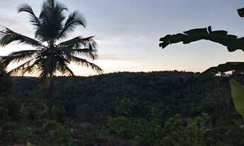 Imagem: Oportunidade 10Ha (100.000m²) com nascentes