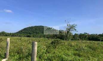 Imagem 5: Chácara à venda no bairro Centro - Araquari/SC