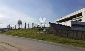 Imagem 7: Terreno Comercial/Industrial na Linha Verde