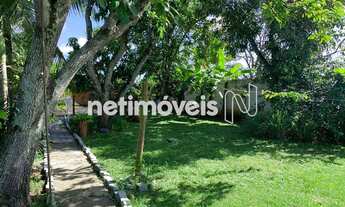 Imagem 6: Venda Sítio Centro Camaçari