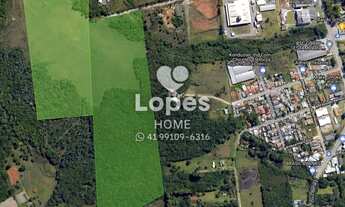 Imagem 4: Terreno a venda em Colombo, 20.000 m²