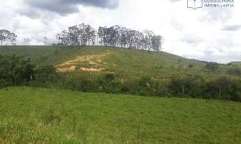 Imagem 3: Fazenda à venda, 900000 m² - 6km São Roque de Minas - Minas Gerais - por R$ 2.500.000