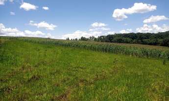 Imagem: Fazenda para venda com 25,5 alqueires Corumbá
