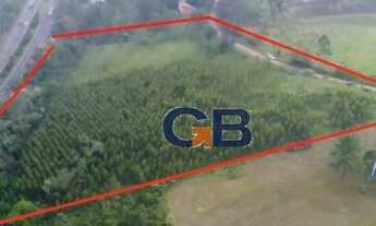 Imagem: Terreno alto com área de 3 hectares de