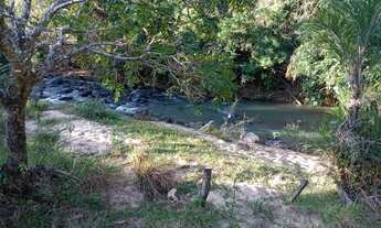 Imagem 4: Fazenda de Luxo de 11 alqueires - a 120km de Goiânia sentido São Luiz