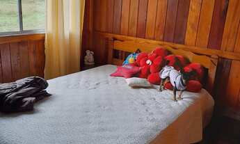 Imagem 5: ALUGO CASA NO SÍTIO ANUAL