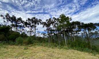 Imagem 5: Fazenda/Sítio/Chácara para venda tem 20000 metros quadrados/Rio dos Bugres - Urubici - SC