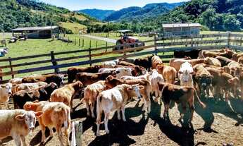 Imagem 7: Fazenda/Sítio/Chácara para venda com metros quadrados em Centro - Rio do Campo - SC