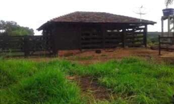 Imagem 4: Fazenda 12 Alqueires Próxima a Lajeado, com Pasto # Fazenda de 12 Alqueires - Pasto - Pró