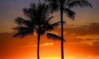 Imagem: Jacuipe - Temporada