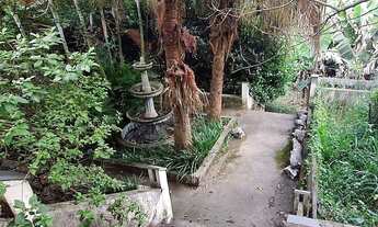 Imagem 13: OPORTUNIDADE LOTE 1.000 METROS QUADRADOS - BOLSÃO FAZENDINHA - RUA TRANQUILA PRONTO PARA C