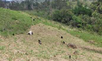 Imagem 1: Lote/Terreno para venda tem 1000 metros quadrados em Centro - Mairiporã - SP