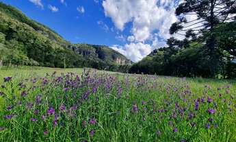 Imagem 3: TERRENO COM VISTA PARA UM PAREDÃO DE PEDRAS HISTÓRICAS!!!