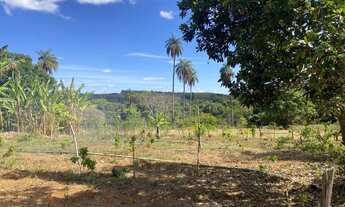 Imagem 2: Fazendinha 6,5ha, riachos nos fundos, agua por gravidade, Serra do Cipo