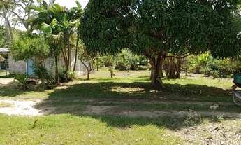 Imagem 6: Sítio a venda Chácara com venda por R$150.000