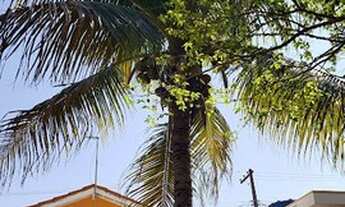 Imagem 5: Vendo Casa em Parapuã, com terreno de 675 m²