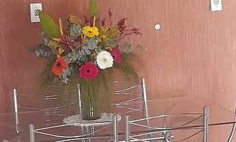 Imagem 3: Bulhoes Acauã ( Porto Seguro-Ba