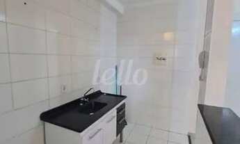 Imagem 4: Guarulhos - Apartamento Padrão - Vila Venditti