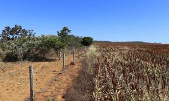 Imagem 6: Chácaras em Anápolis - próximo ao DAIA