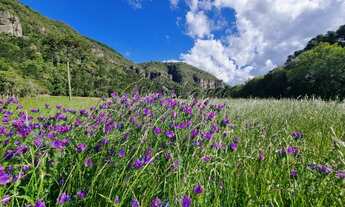 Imagem 6: TERRENO COM VISTA PARA UM PAREDÃO DE PEDRAS HISTÓRICAS!!!