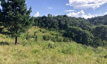 Imagem 7: Terreno para Venda em Campo Alegre, Laranjeiras