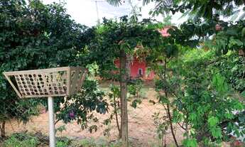 Imagem 3: Casa em um lote de 360m² com vários pés de plantas frutíferas, Jaboticatubas