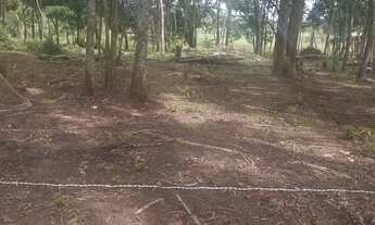 Imagem 3: Terreno no Goiabal