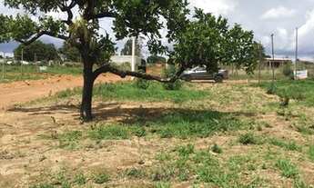 Imagem 4: 26 de Setembro - Oportunidade!