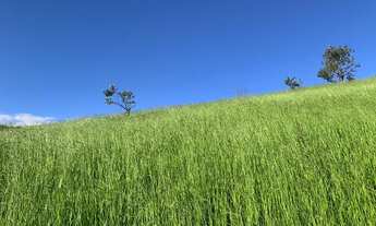 Imagem 7: Terreno Para Sitio 1000m²