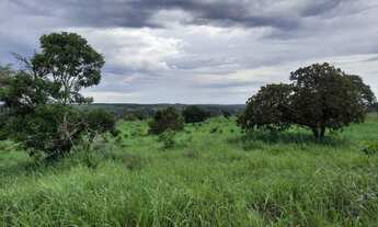 Imagem 6: Dueré - Fazenda - Dueré (Todos os setores