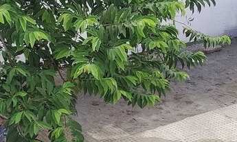 Imagem 3: Alugo casa Casa com 2 dormitórios