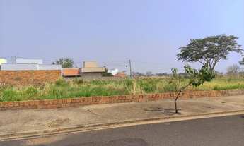 Imagem 4: Vendo Terreno em Mirassol