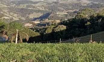 Imagem 2: Vende lindo lote com água luz