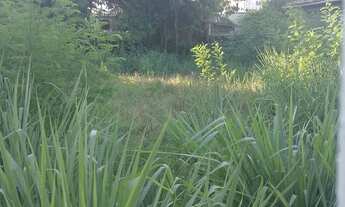 Imagem: Ótimo terreno plano de 360 M2 em Piratininga