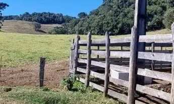 Imagem 5: SÍTIO - CENTRO - SP