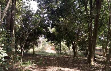 Imagem 3: Terreno 4.340 m² - 18 min Pirinópolis - 12 min Salto Corumbá - Plano e Arborizado