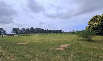 Imagem: Excelente área com 3Ha na localização