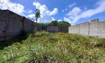 Imagem 2: LOTE À VENDA ILHA DA CROA