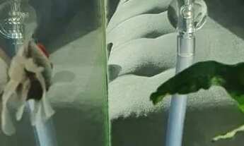 Imagem 7: Apartamento no Brisa Marina com vista completa para o mar - ATALAIA