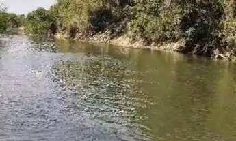 Imagem 3: Chácara à venda Zona Rural - Mairipotaba/GO