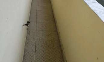 Imagem: Alugo casa 2 quartos 2 banheiros sala área