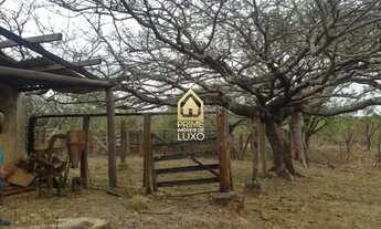 Imagem 2: Fazenda à venda, Área Rural de Curvelo - Curvelo/MG
