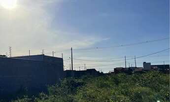 Imagem 6: Lote Conviver Barrerinhas