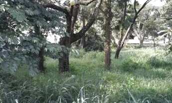 Imagem 7: AREA - JARDIM PAULISTA - SP