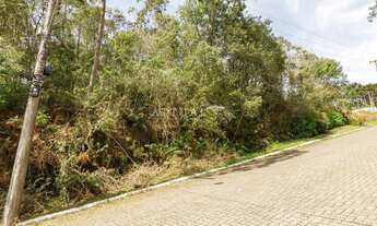 Imagem 3: TERRENO EM GRAMADO