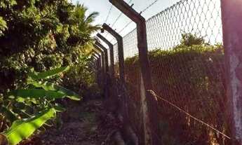 Imagem 16: Sítio, Região de Porto Feliz SP